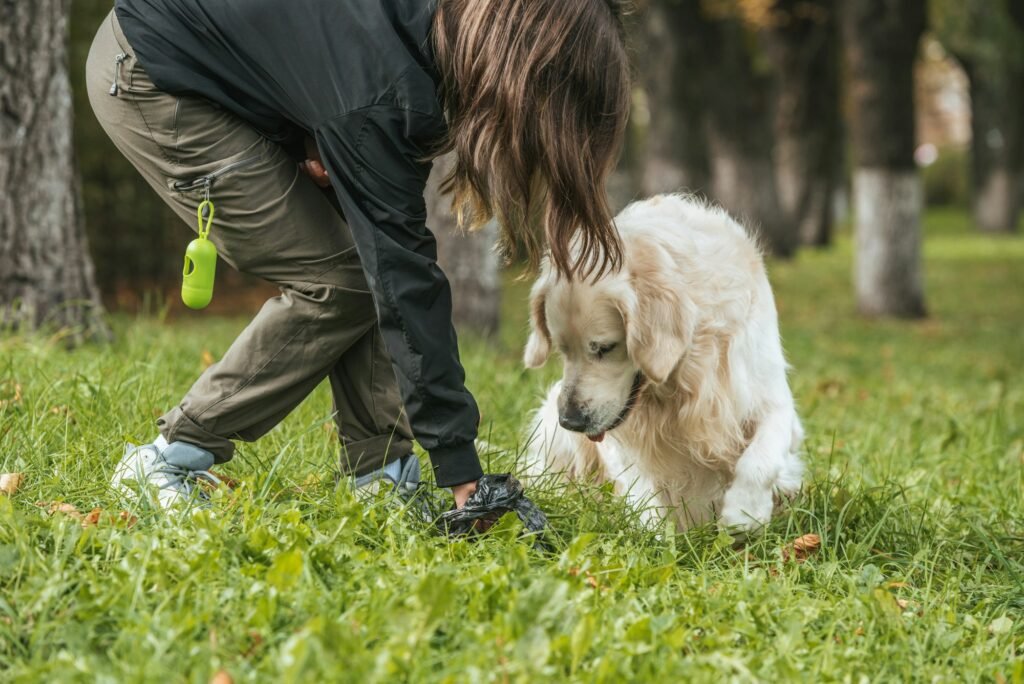 young woman cleaning after dog in park